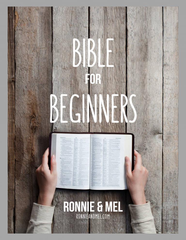 how do beginners read the bible