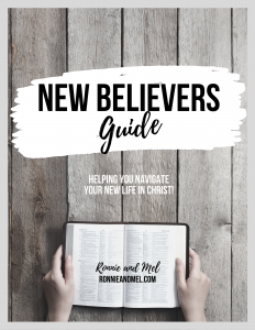 New Believer's Guide resources to help you navigate your new life in christ as a new Christian once you've decided to follow Jesus